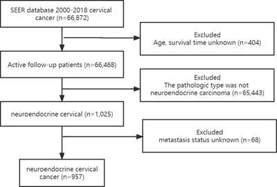 Distant organ metastasis patterns and prognosis of neuroendocrine cervical carcinoma: a population-based retrospective study